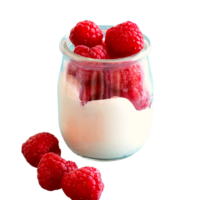 Glace au yaourt framboise – Pot de 500ml