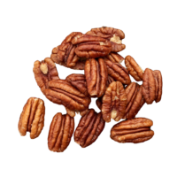 Vanille noix de Pécan – Pot de 500ml