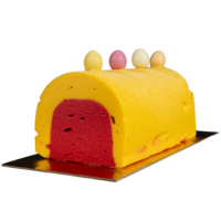 Bûche glacée – Mangue et Framboise