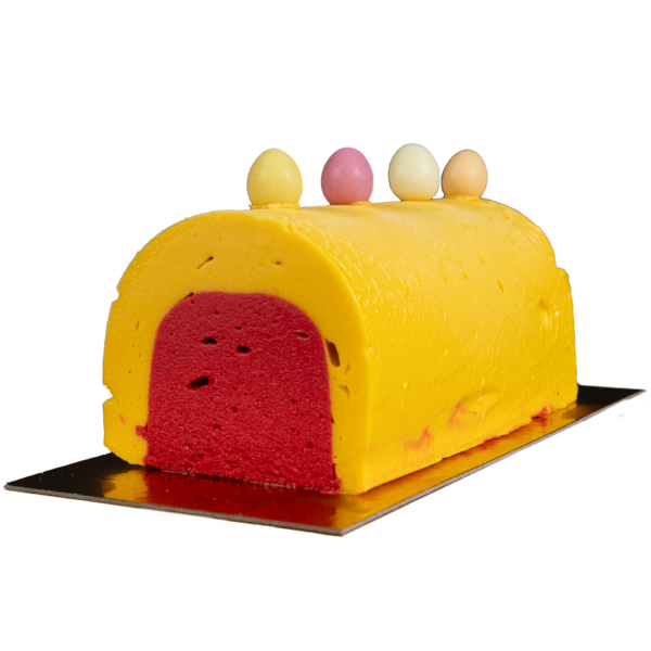 Bûche glacée - Mangue et Framboise