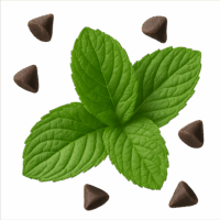 Menthe Chocolat - Pot de 500ml